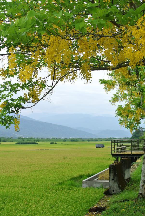 Pu Shi Homestay Yuli Exterior photo