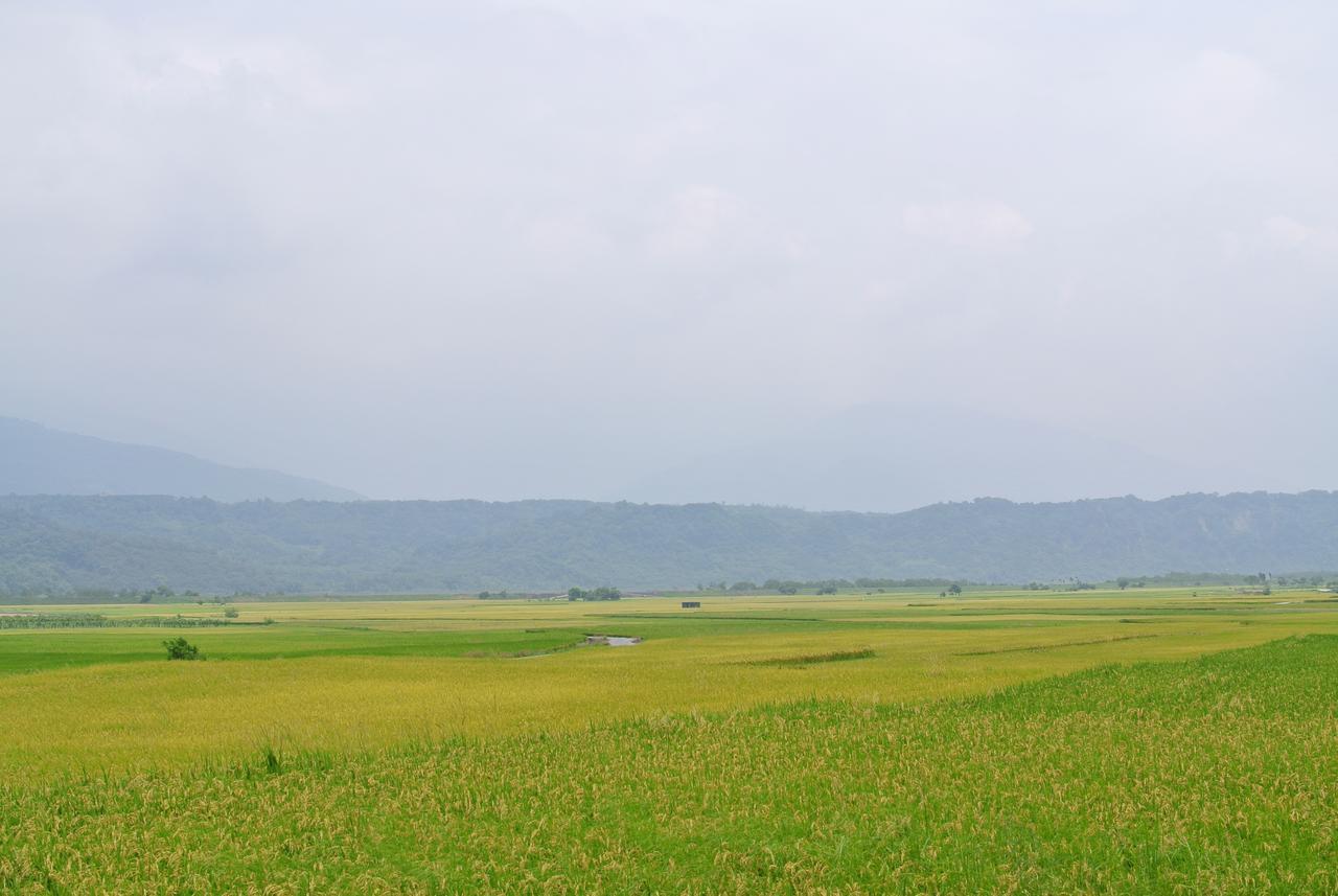 Pu Shi Homestay Yuli Exterior photo